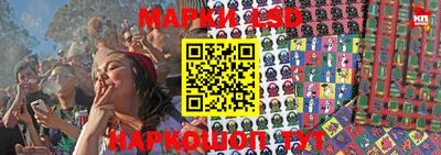 PSILOCYBIN Гусиноозёрск