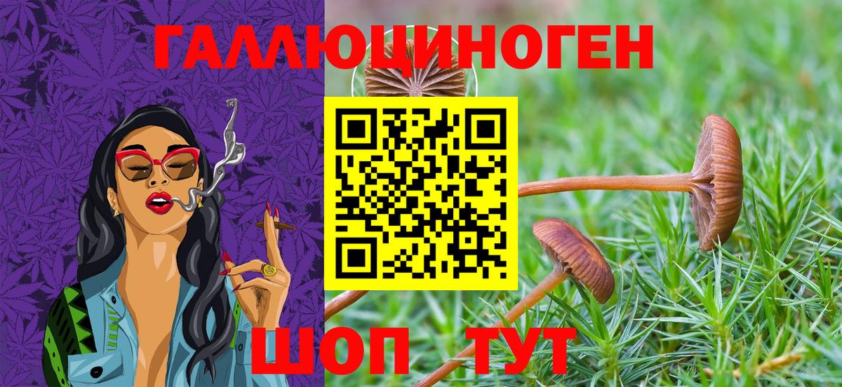 Псилоцибиновые грибы ЛСД Карачаевск